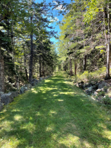 Acadia National Park hiking path